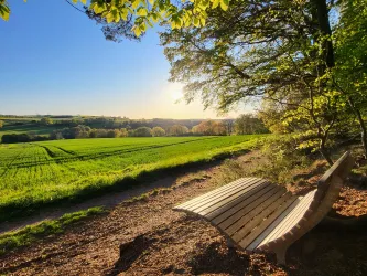 Eine ruhige Landschaft mit grünen Feldern und einem Holzbank. Im Hintergrund strahlt die Sonne und der Himmel ist blau.