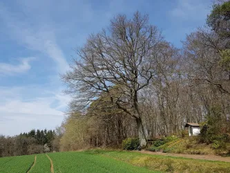 Gesamtansicht