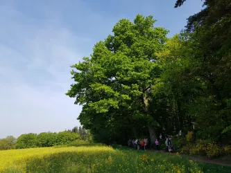 Wandergruppe am Rastplatz Dietersberg