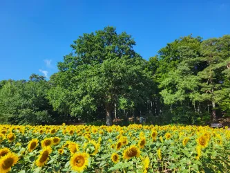 Blick auf den Rastplatz Dietersberg