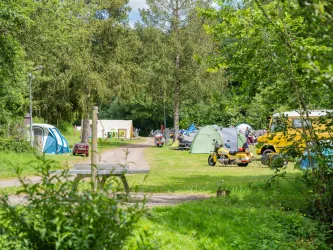 Zeltplatz (© Donnersberg-Touristik-Verband e.V., Fachenbach Medienagentur)