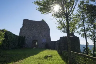 Ruine Michelsburg, Ansicht 1
