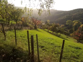 Blick auf Oberweiler-Tiefenbach