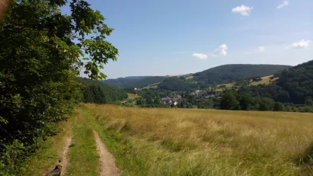 Blick auf Oberweiler-Tiefenbach ..