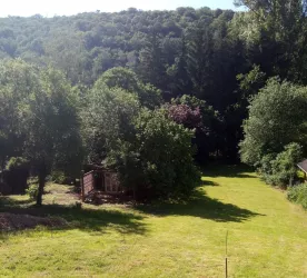 Blick in den Garten