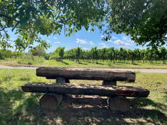 Picknickplatz "Im Rebenmeer"