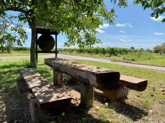 Picknickplatz "Im Rebenmeer" (3)