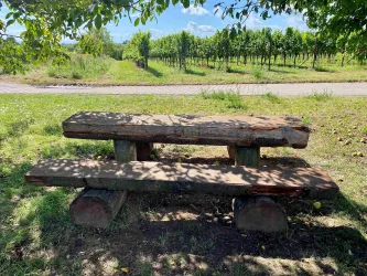 Picknickplatz "Im Rebenmeer" (2)