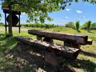 Picknickplatz "Im Rebenmeer" (4)