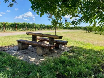 Picknickplatz "Unter den Bäumen"