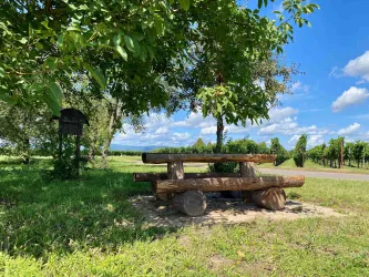 Picknickplatz "Unter den Bäumen" (4)