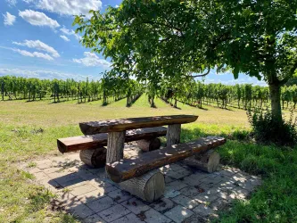 Picknickplatz "Unter den Bäumen" (3)