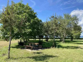 Picknickplatz "Unter den Bäumen" (6)