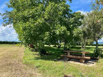 Picknickplatz "Unter den Bäumen" (7)