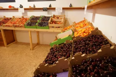 Hofladen Obst