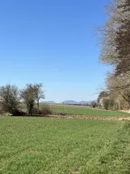 Groß (IMG_8386)