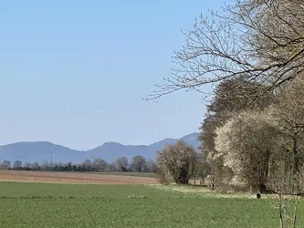 Groß (IMG_8388)