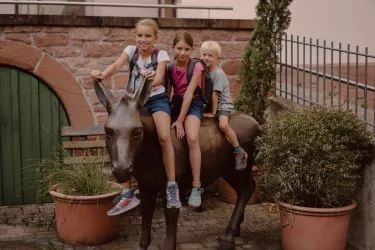 Reitspaß auf dem Esel