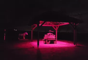 Kelter beim Rosa Leuchten