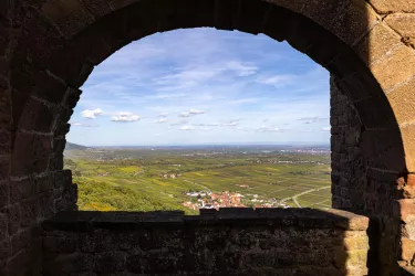 Blick auf Eschbach und das Weinland Pfalz