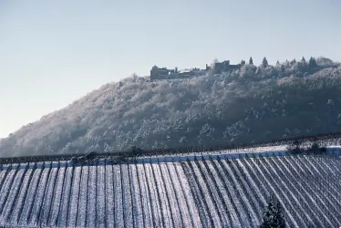 Madenburg im Schnee
