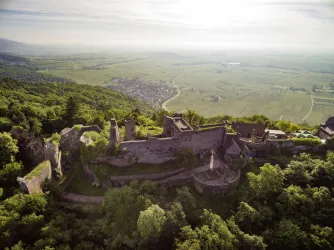 Eine alte Burgruine, umgeben von dichten Wäldern und sanften Hügeln. Im Hintergrund sind weite Felder und eine kleine Siedlung zu sehen.