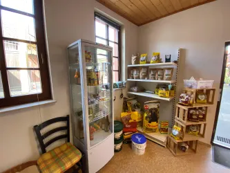 Ein kleiner Verkaufsraum mit Regalen voller Produkte und einer Kühlvitrine. Es gibt verschiedene Artikel und einen Stuhl in der Ecke.