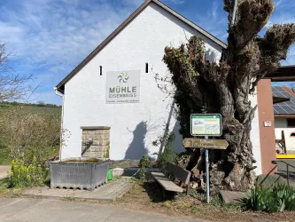 Ein historisches Gebäude mit dem Schriftzug "Mühle Eisenbess". Daneben steht ein großer Baum und es gibt eine Sitzgelegenheit im Freien.
