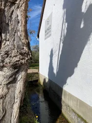 Ein Baum steht neben einer hellen Wand, und sein Schatten fällt darauf. Im Vordergrund fließt ein kleiner Bach entlang der Wand.