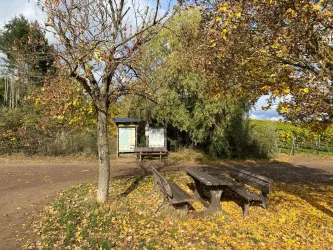 Wanderparkplatz Krumbachtal