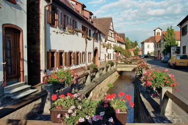 Eine malerische Straße mit traditionellen Häusern und bunten Blumen in Blumenkästen. An der Seite verläuft ein kleiner Kanal, der das Bild lebendig macht.