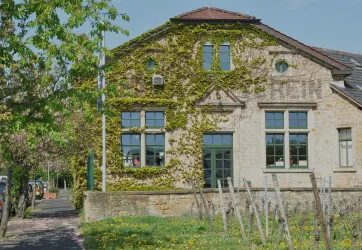 Ein charmantes, mit Efeu bewachsenes Gebäude in einer grünen Umgebung. Im Vordergrund sind Bäume und Wiesen zu sehen.