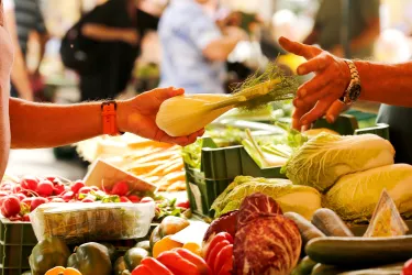 Ein lebendiger Markt mit frischem Obst und Gemüse. Zwei Hände tauschen eine Selleriepflanze aus.