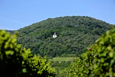 Michaelskapelle bei Deidesheim 2