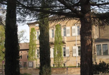 Ein historisches Gebäude umgeben von hohen Bäumen. Die Fassade ist mit Efeu bewachsen und hat viele Fenster.