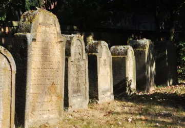 Jüdischer Friedhof Deidesheim 1