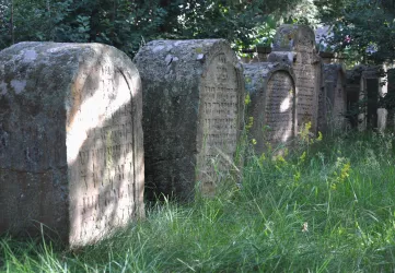 Jüdischer Friedhof Deidesheim 2