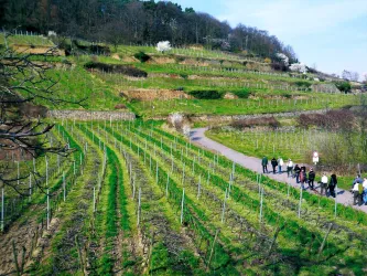 Weingut von Bassermann-Jordan 1