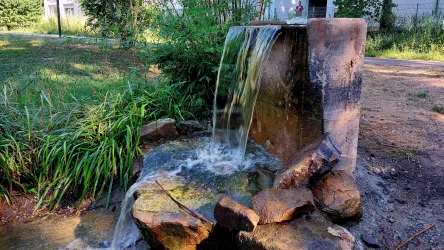 Ein kleiner Wasserfall fließt über eine steinerne Wand. Daneben wachsen grüne Pflanzen in einer ruhigen Umgebung.