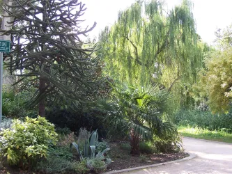 Stadtpark Deidesheim 1