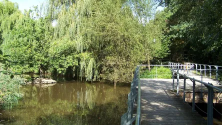 Ein malerischer Teich umgeben von grünen Bäumen. Ein Holzsteg führt am Wasser entlang.