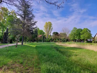 Eine grüne Parklandschaft mit hohen Bäumen und einem blauen Himmel. Der Weg führt durch das üppige Gras.
