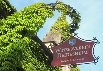 Ein Schild des Winzervereins Deidesheim, umgeben von grünem Blattwerk. Es zeigt den Namen des Vereins sowie den Hinweis auf Weinproben und Verkauf.