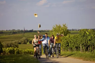 Fahrradvermietung Deidesheim 1