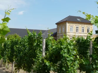 Weingut Josef Biffar