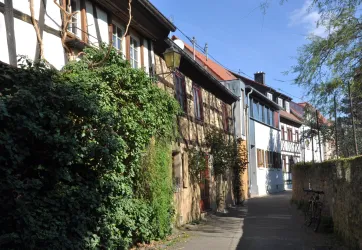 Eine enge Straße mit historischen Fachwerkhäusern, die von grüner Vegetation umgeben sind. Der Himmel ist blau und die Sonne scheint.