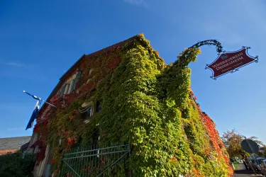 Ein Gebäude, das mit buntem Efeu bewachsen ist, steht unter klarem blauen Himmel. An der Fassade hängt ein Schild.