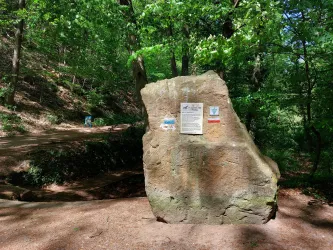 Ein großer, natürlicher Felsen steht im Wald. Auf dem Felsen sind Informationen und Wegweiser angebracht.