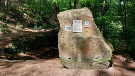 Ein großer Stein in einem Wald mit einem Informationsschild. Im Hintergrund sind Bäume und ein Weg zu sehen.