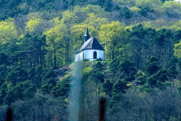 Michaelskapelle bei Deidesheim 3